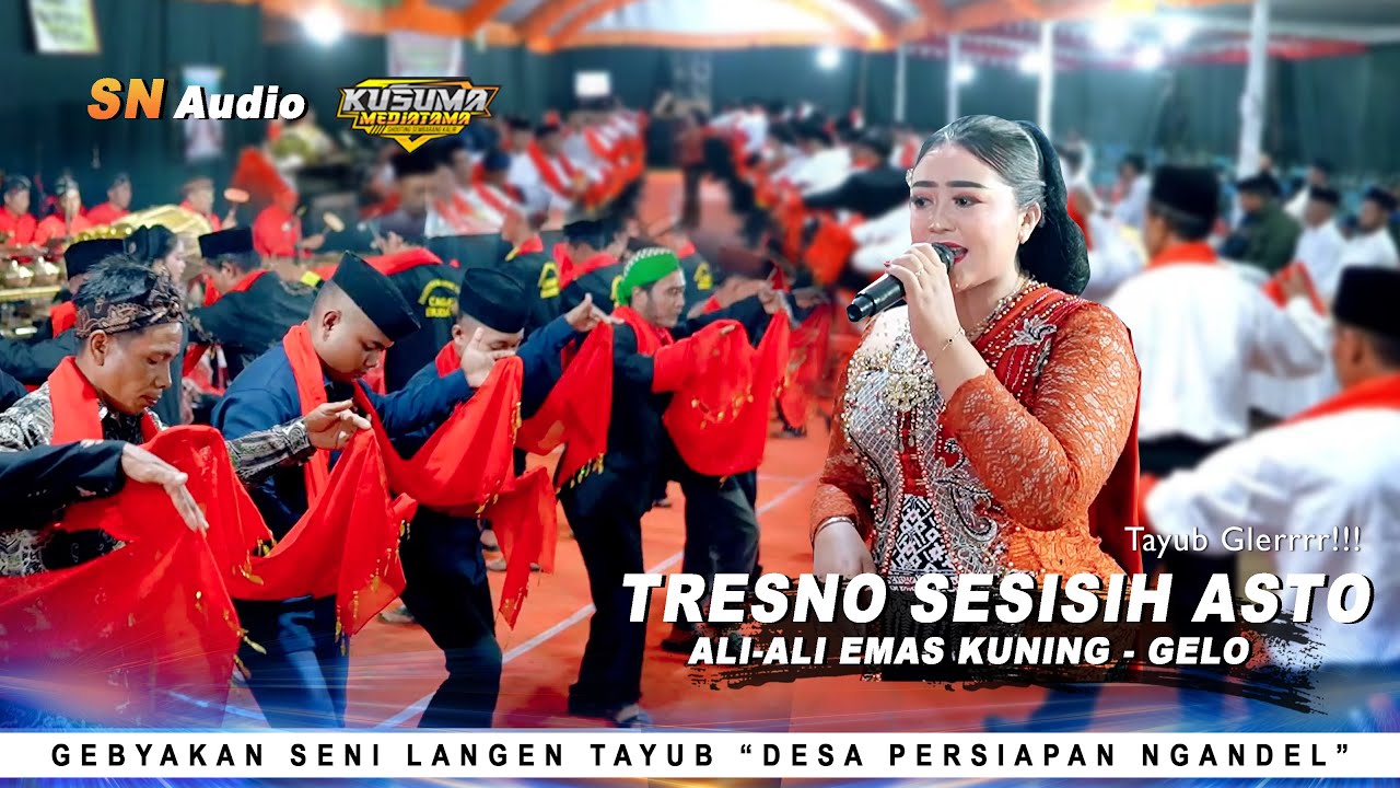 TRESNO SESISEH ASTO - ALI-ALI EMAS KUNING | Gebyakan Tayub Desa Persiapan Ngandel | SN Audio