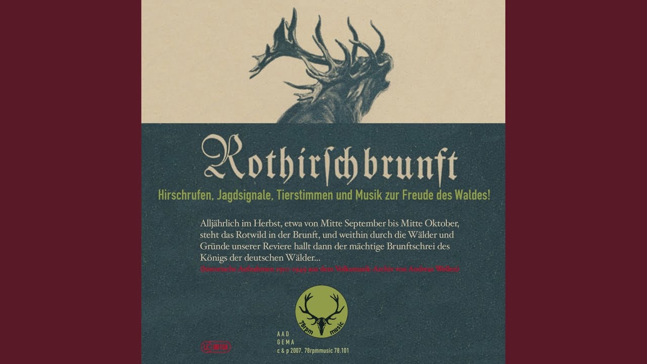 Rothirschbrunft (Berlin, ca. 1935) (Telefunken J 2500, mx. 50302 / 03)