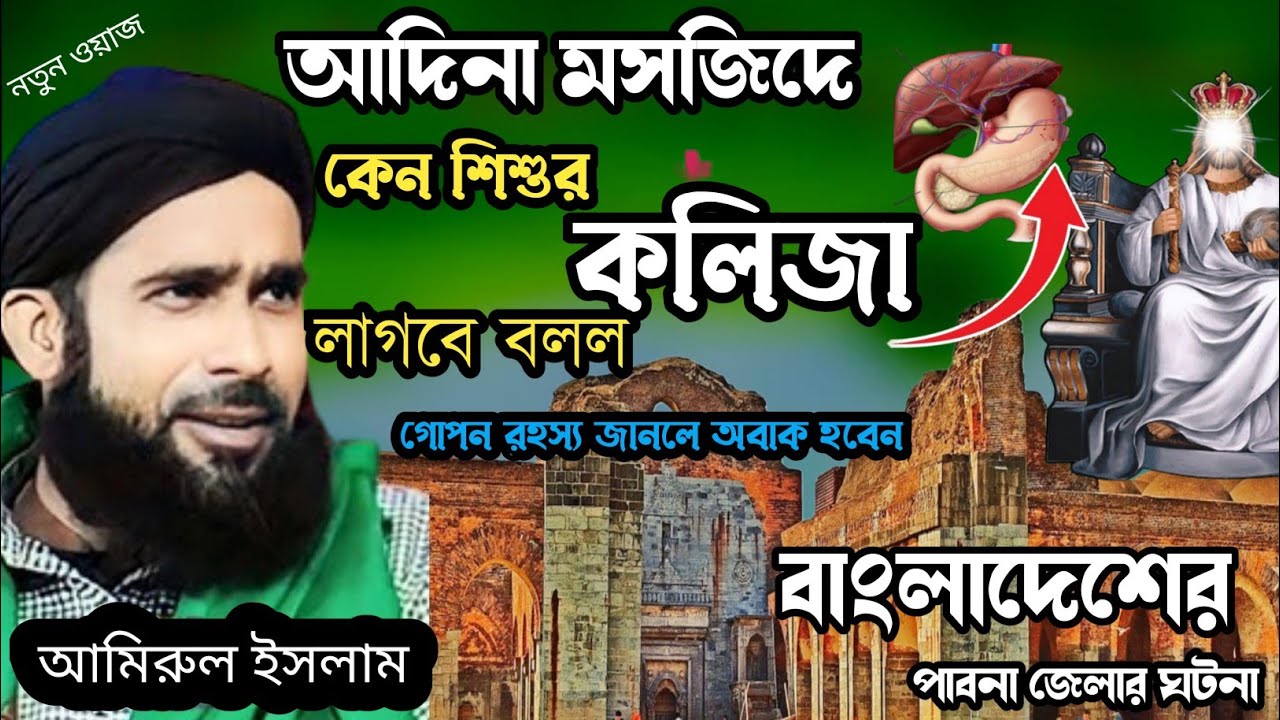 আদিনা মসজিদ তৈরিতে কেন কোরআনের হাফিজের কলিজা লাগবে বলেছিল? বাবরি মসজিদ। Amirul islam Chaturvedi