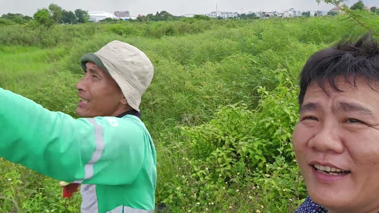 Diều ơi giò về rồi