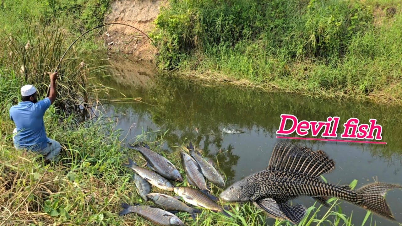 FISHING