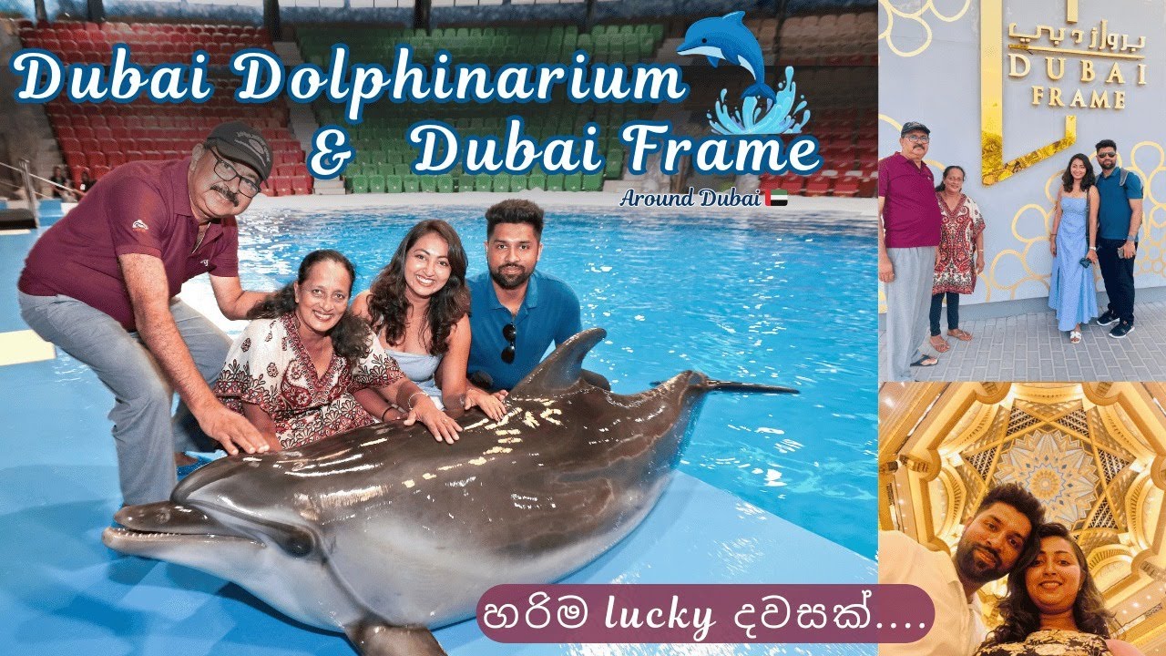 Dubai Dolphinarium & Dubai Frame | Emirate Palace Hotel | A lucky day #dubai #travel #dolphinarium