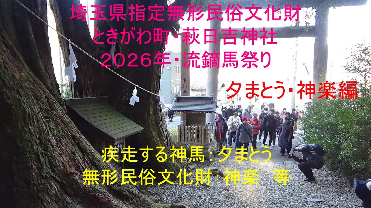 埼玉県ときがわ町の萩日吉神社の流鏑馬祭り（２０２６年１月１８日）を見学した。同時に実施される「神楽」を見学。「朝まとう(10:00～）」終了後、観客は神社へ参拝する。夕まとうの開始は15:00時。