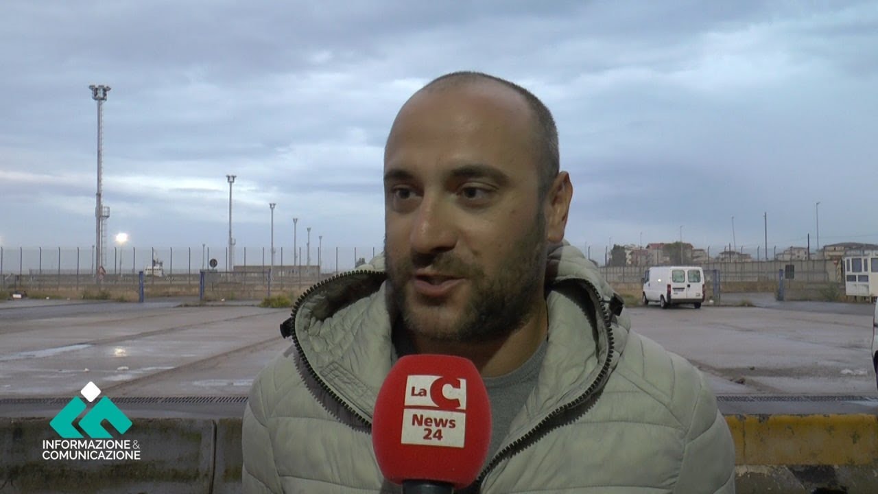 Un cinghiale nuota in mare al largo di Calopezzati. Contestato il metodo di salvataggio