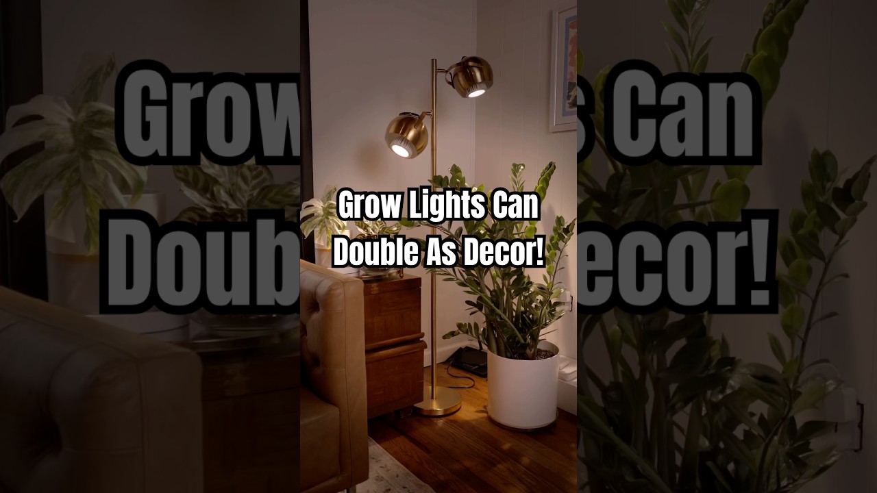 Grow Lights Can Easily Double As Home Decor! 💡🪴✨ #GrowLights #Plants #PlantCare #Shorts