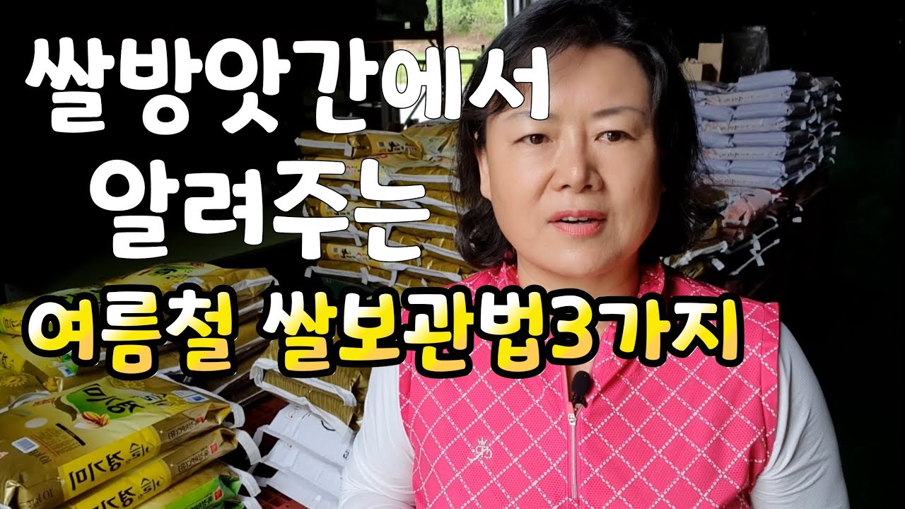 쌀 방앗간에서 알려주는 여름철 쌀보관방법 3가지