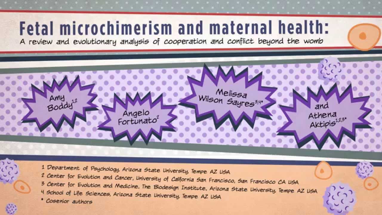 BIOESSAYS: Fetal microchimerism and maternal health