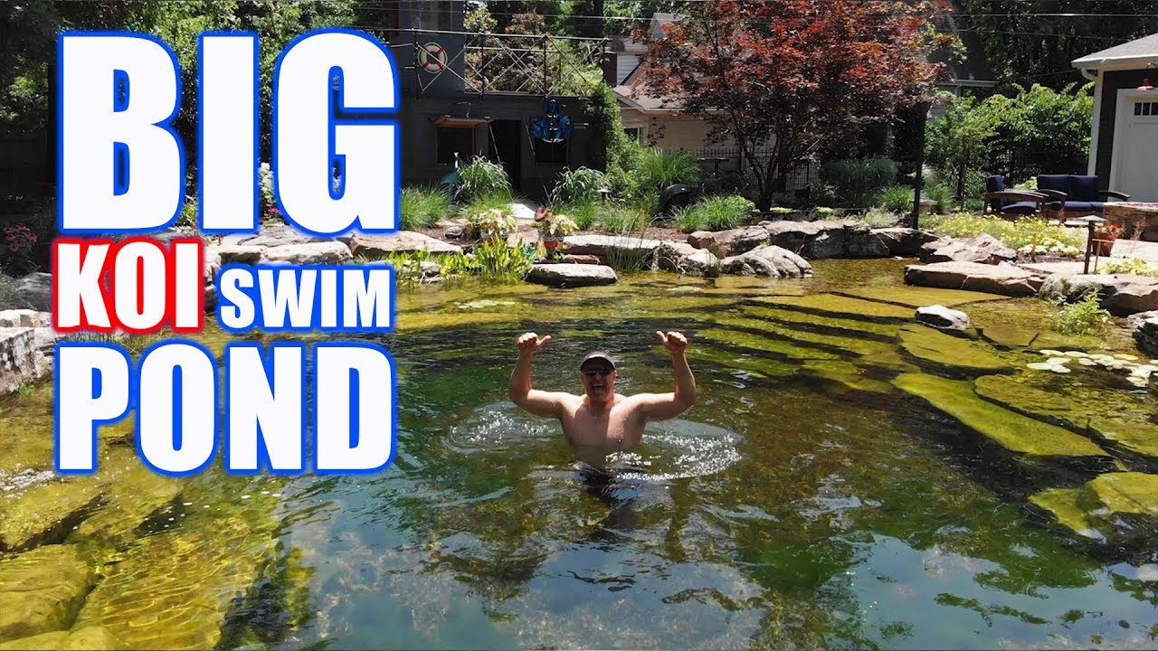 COOLEST RECREATION POND with KOI: Greg Wittstock, The Pond Guy