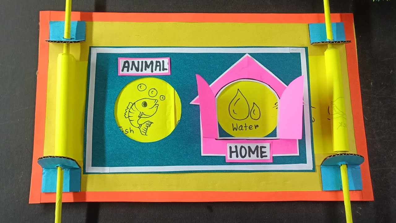 Animal and their Homes TLM || TLM for primary school || EVS TLM || HOMES