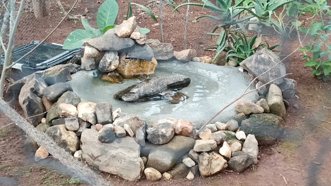 Construindo um Lago com Cascata Automatizado