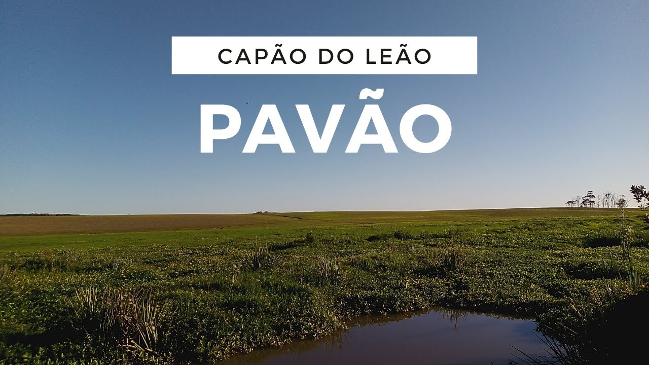 Pavão, Capão do Leão/RS