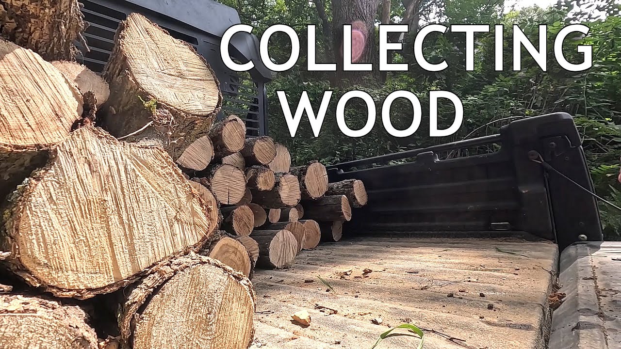 More Trees on the Road!! ― Let’s Get it Cut and Split!