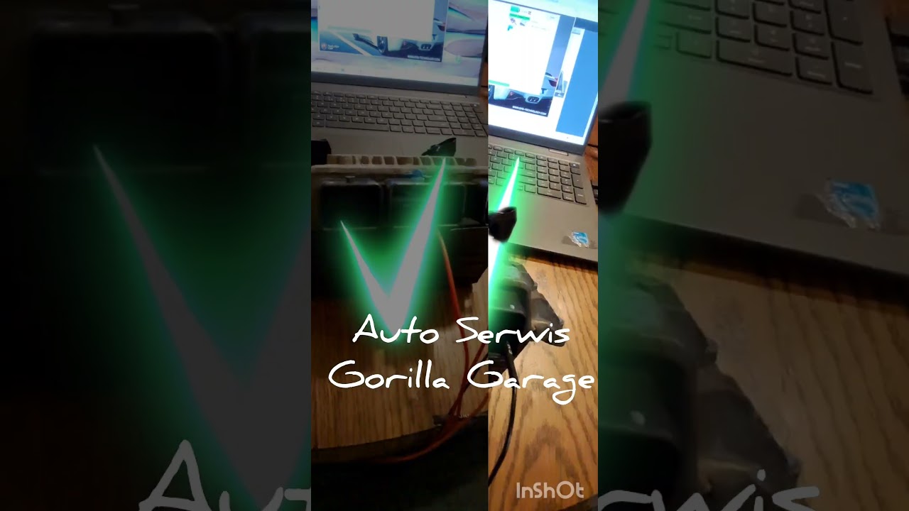 Auto Serwis Gorilla Garage ECU clone