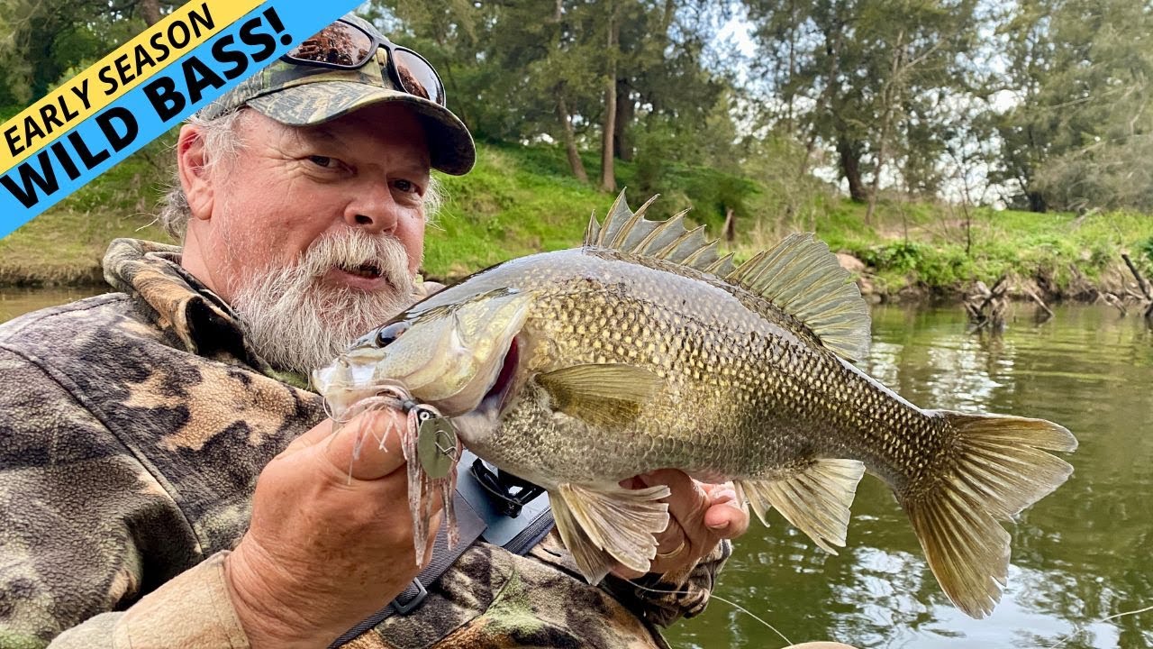 MASTERCLASS: BASS & ESTUARY PERCH  Pt 1 — Early Season In Our Rivers