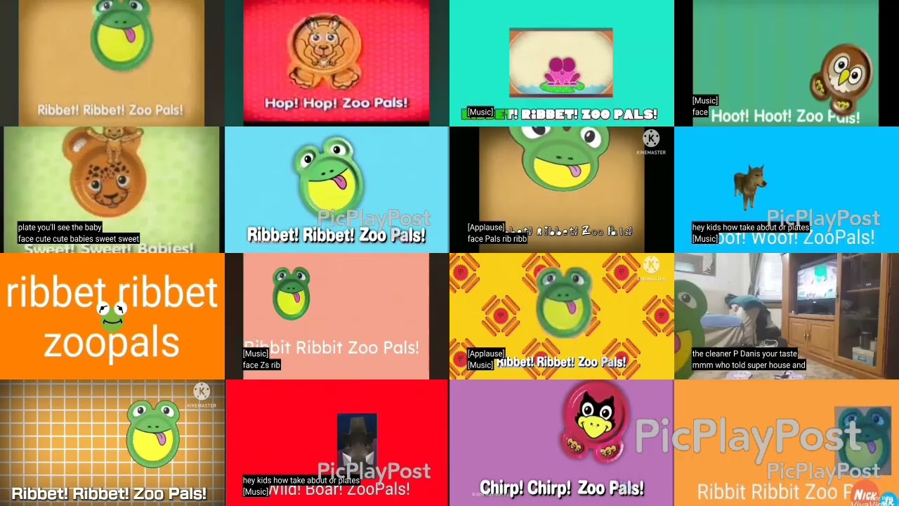 16 zoopals