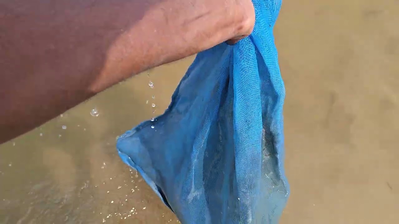 அருமையான மீன் வேட்டை இன்னிக்கு ஒரு அடி #iqooneo10 #fhashion #fishing 