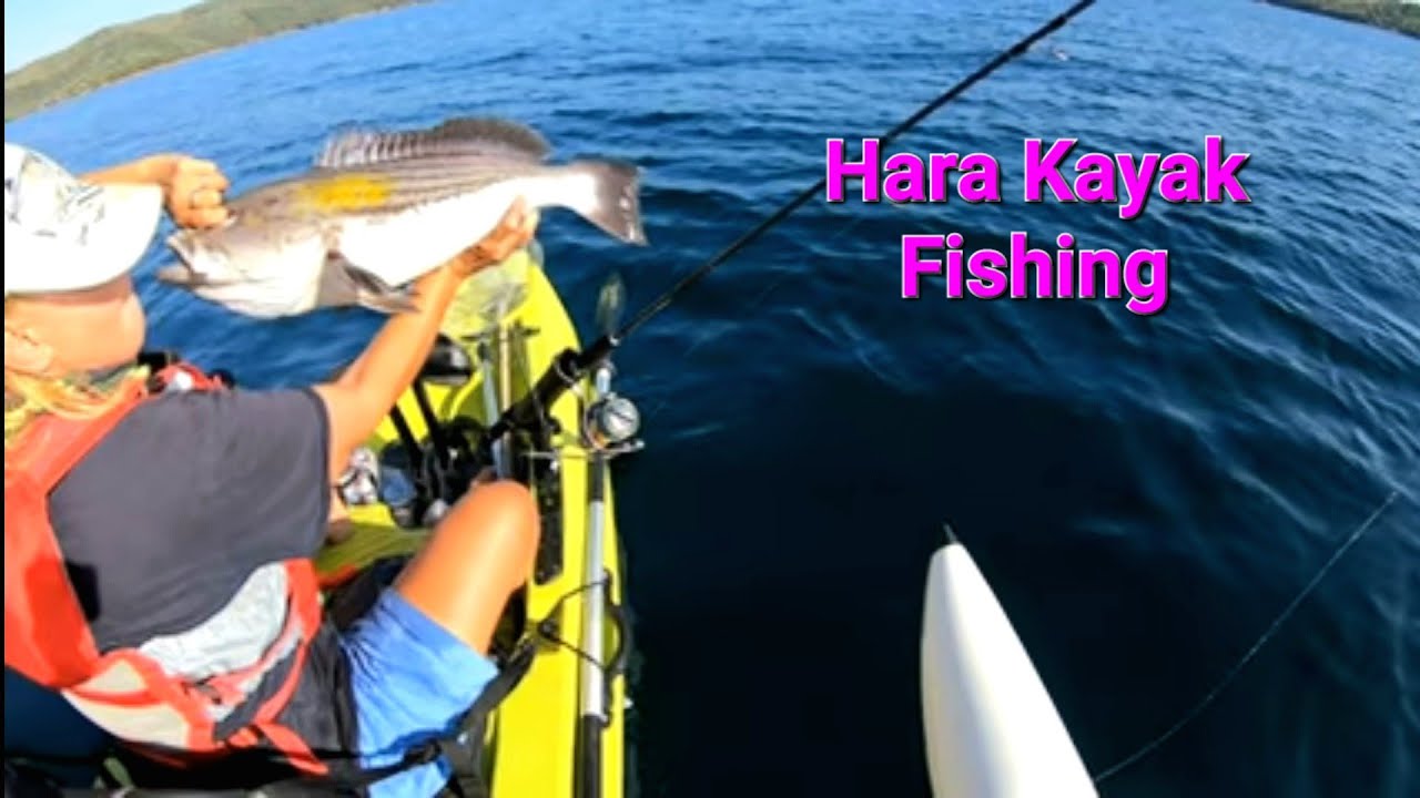 Βρήκα μεγάλα ψάρια ...I found big fish... golden grouper common dentex  #kayakfishing