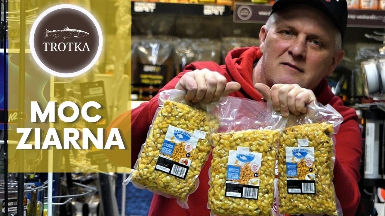 ZIARNA NA KAŻDĄ OKAZJĘ czyli CZYM NĘCIĆ?