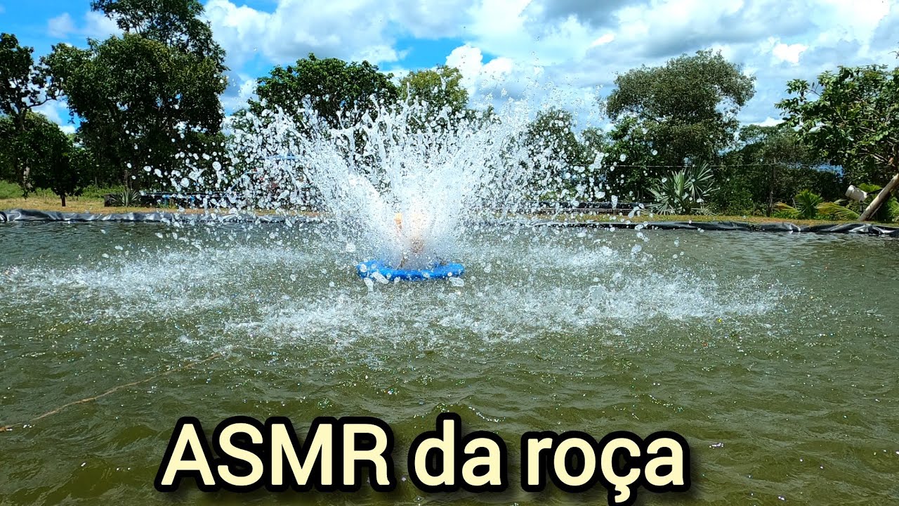 Você nunca ouviu a roça assim… | ASMR Sons da Natureza