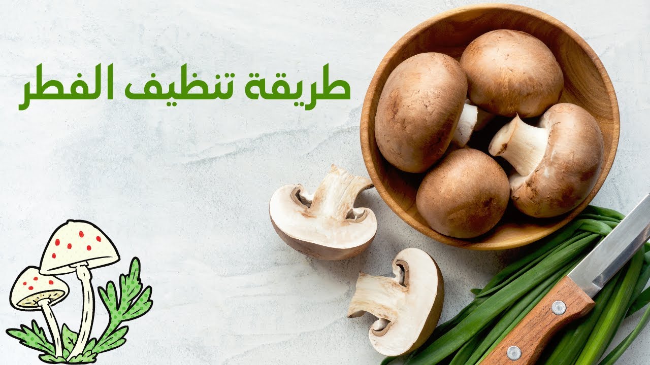 طريقة تنظيف الفطر الطازج بدون غسله بالماء