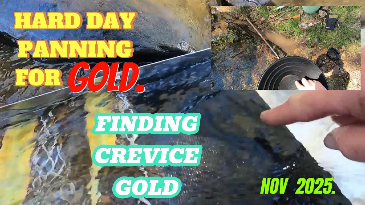 Panning a Creek and Gully in the Golden Triangle for Gold. Scraping Crevices for GOLD #golddetecting