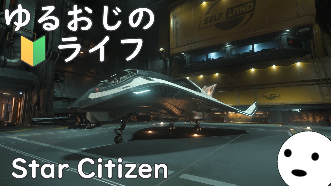 [Star Citizen] ゆるおじの🔰ライフ（てきと～）