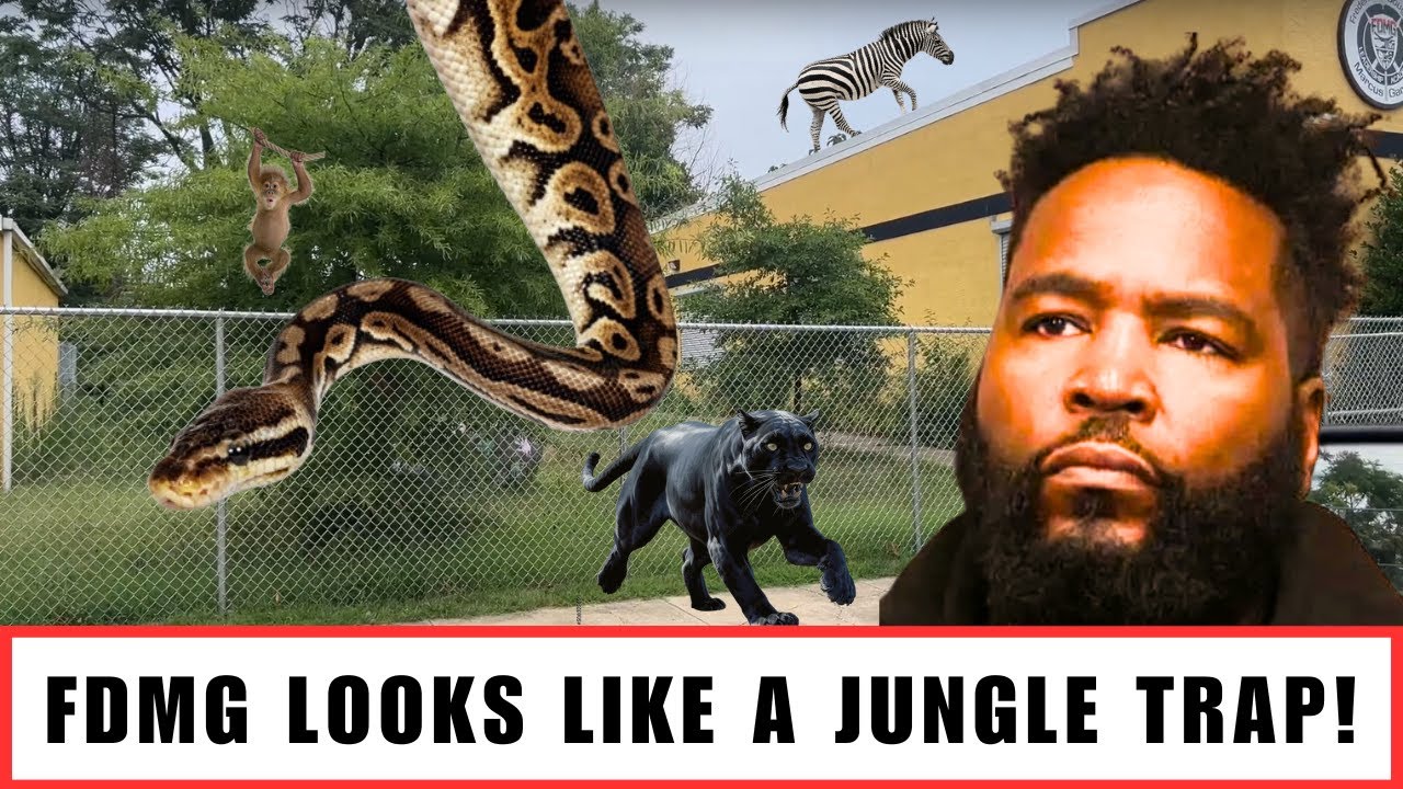 BREAKING NEWS!!!  Umar Johnson Has Abandoned FDMG and It Looks Like a Jungle Trap!!!
