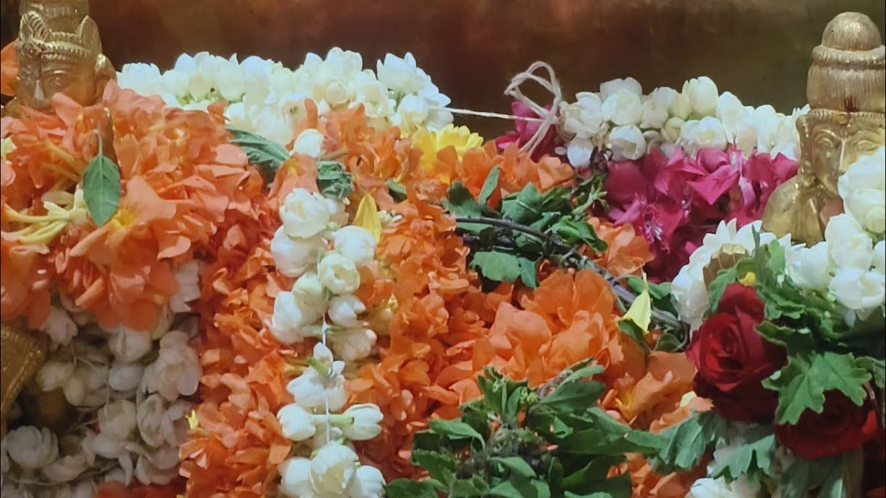 Làkshmis world 💝💝 is live  🥰🥰  ಅಪ್ಪು ಸರ್ ಹುಟ್ಟು ಹಬ್ಬದ ಶುಭಾಶಯಗಳು 🥰🥰