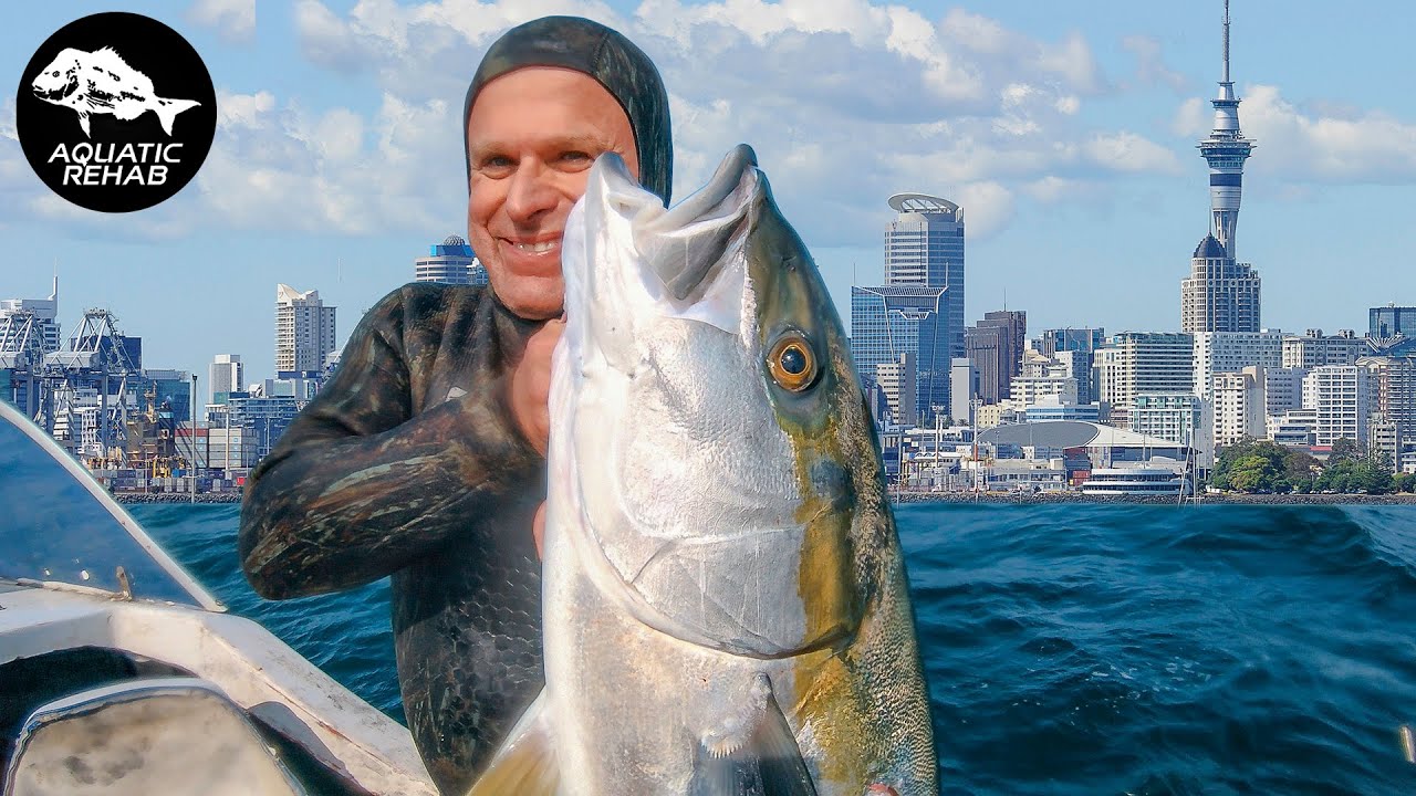 Tips For Hunting Dirty Water -  SPEARFISHING AUCKLAND NEW ZEALAND