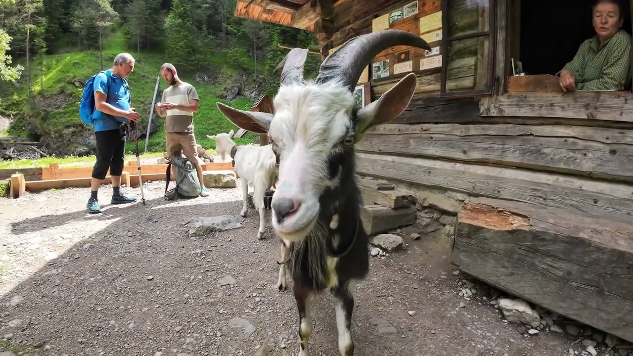 Na bicykli cez Kvačiansku dolinu.