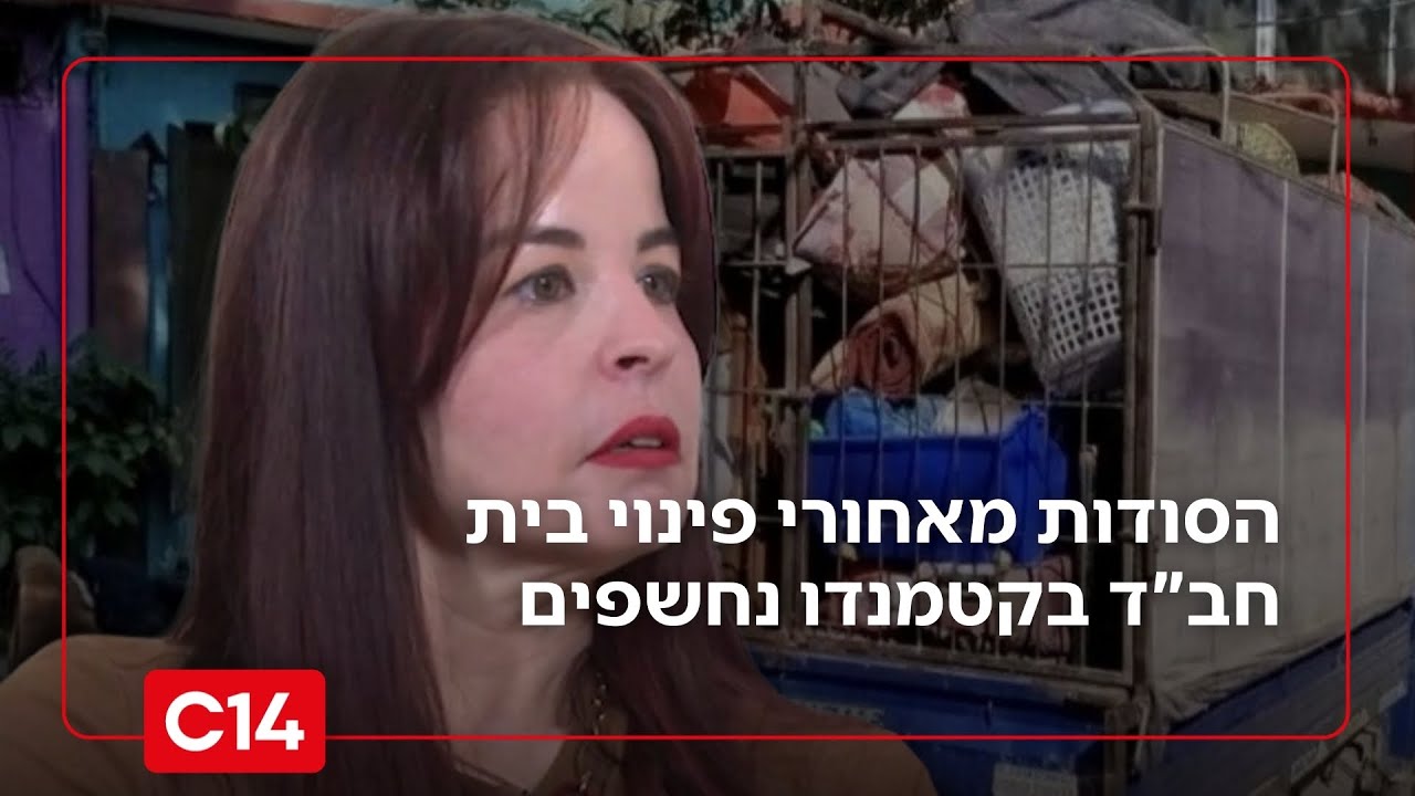 צרחות 