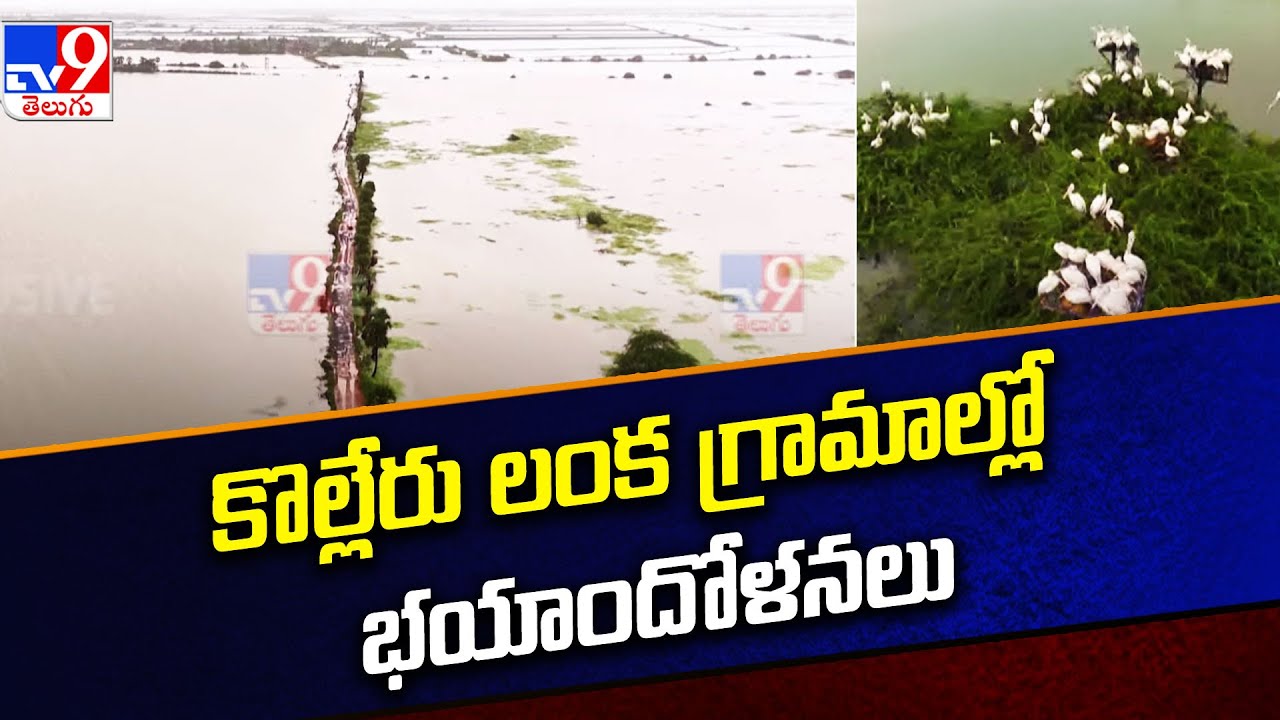 Kolleru Lake Overflowing With Floods | కొల్లేరు లంక గ్రామాల్లో భయాందోళనలు  - TV9