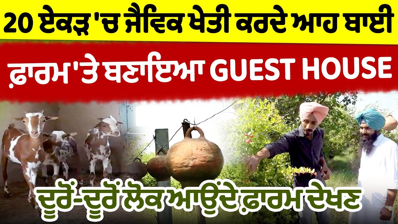 20 ਏਕੜ 'ਚ ਜੈਵਿਕ ਖੇਤੀ ਕਰਦੇ ਆਹ ਬਾਈ, ਫ਼ਾਰਮ 'ਤੇ ਬਣਾਇਆ Guest House, ਦੂਰੋਂ-ਦੂਰੋਂ ਲੋਕ ਆਉਂਦੇ ਫ਼ਾਰਮ ਦੇਖਣ