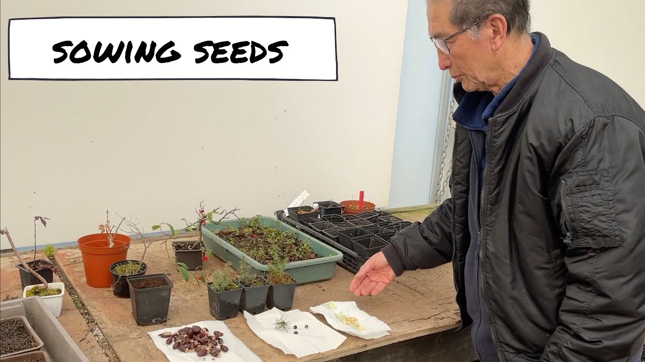 Sowing Seeds