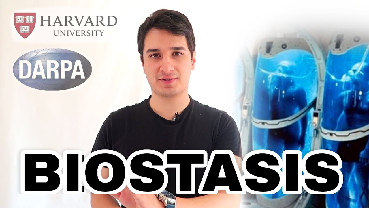 HIBERNACIÓN. Llegando a la vida REAL| Camach Learn