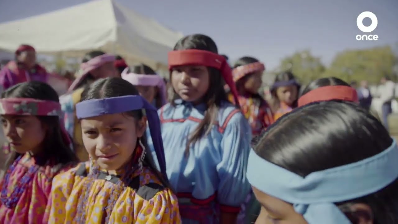Historia del pueblo mexicano - Guerra de castas y rebeliones campesinas del siglo XIX