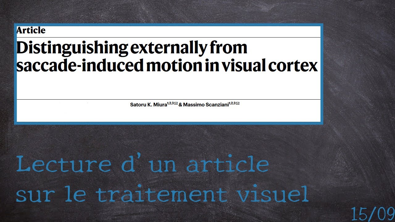 Lecture d'un article scientifique sur la vision - Replay du 15/09