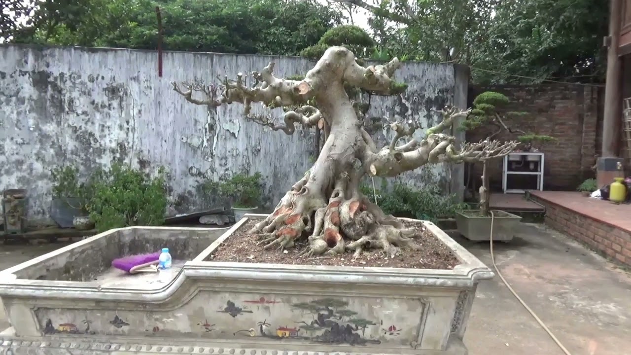 K3   THỰC HÀNH TẠO DÁNG ĐÔI SANH TRỰC ( phần cuối)