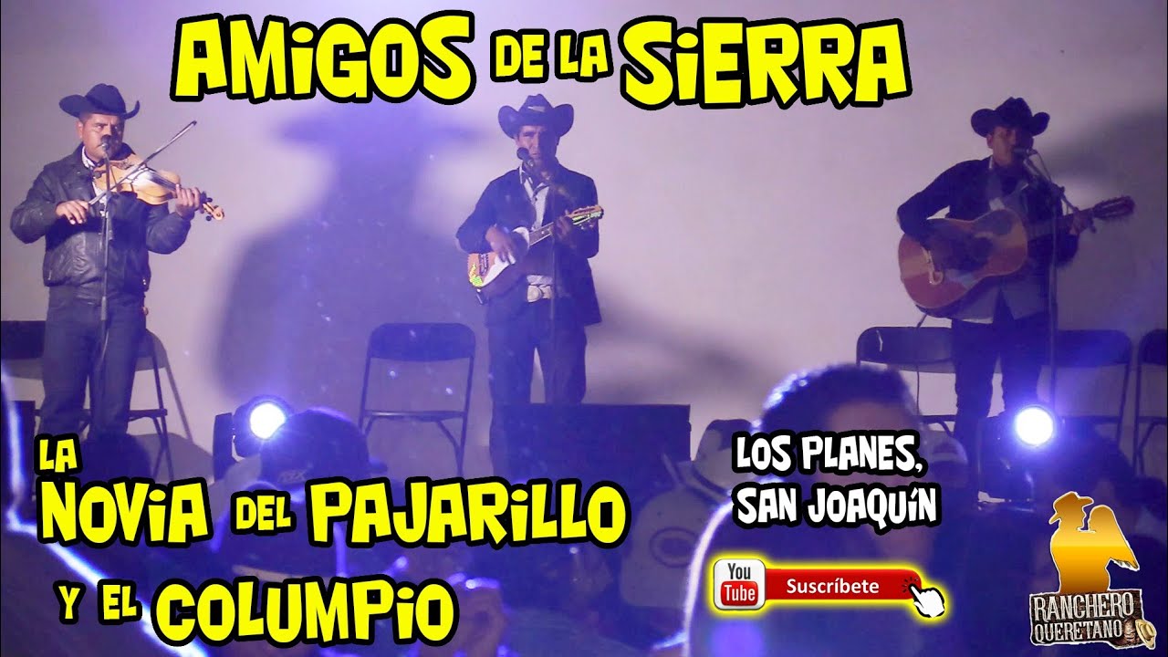 Rancheritas con el trio Los Amigos de la sierra 🎻