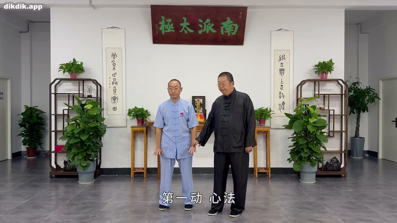 台灣太極拳課程影片， 南派太极国际康养版线上视频课4 升降桩 mp4