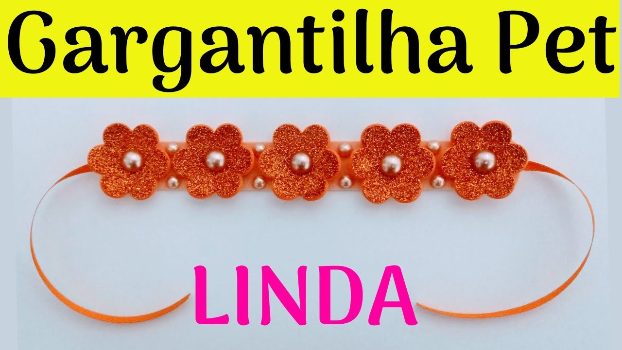 Gargantilha Pet | Super Fácil e Econômica | Pet de pelo curto
