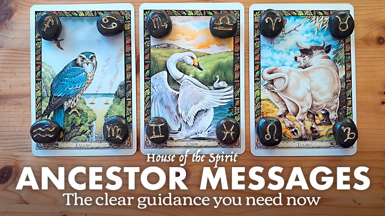 Ancestor Messages: The Clear Guidance You Need Now - Pick-a-Card #tarot #tarotreading #pickacard