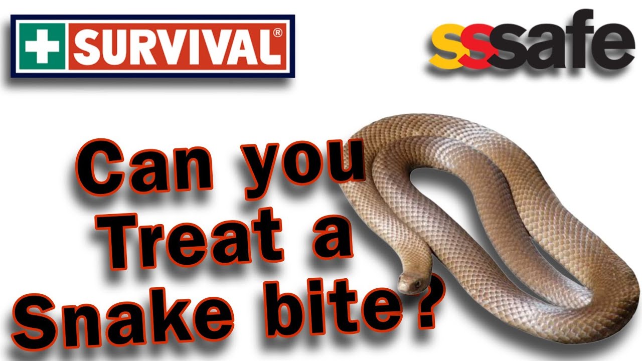 The correct way to treat a snake bite