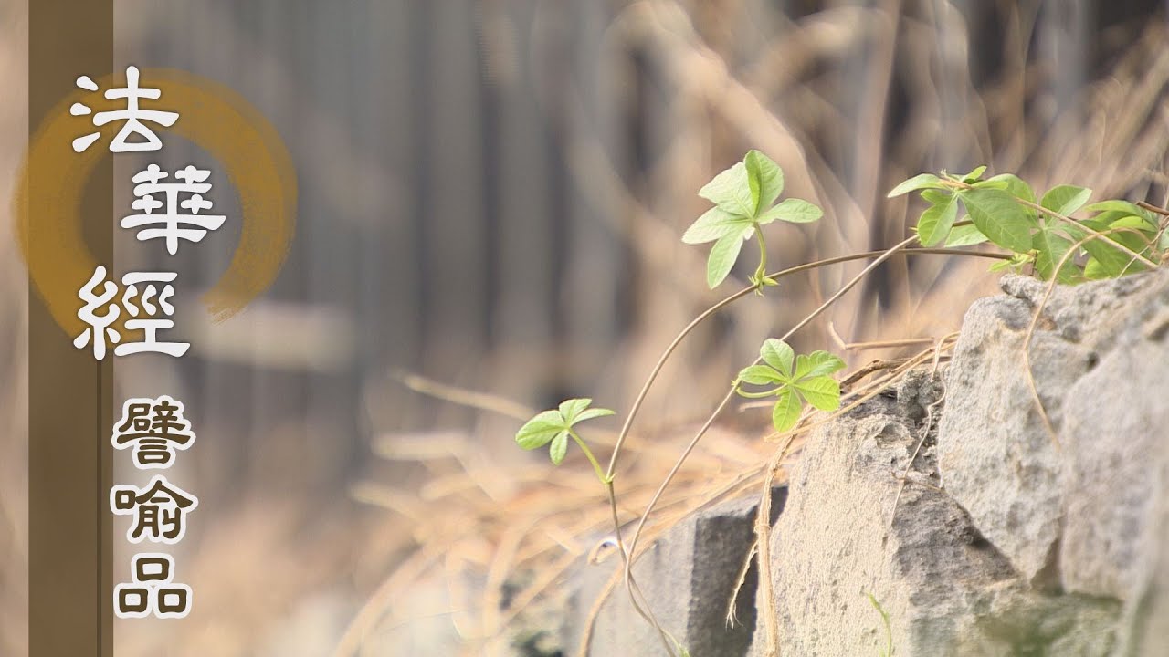 【靜思妙蓮華】法華經譬喻品 - 覺四相苦 恆持正念 - 20201208 第585集