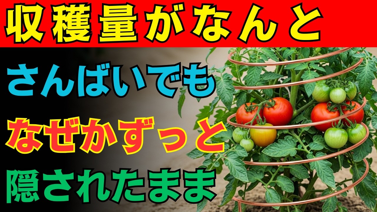 ９９％が知らない銅線で収穫三倍の方法無料の力が利権に触れ長く隠されてきた本当の理由とは