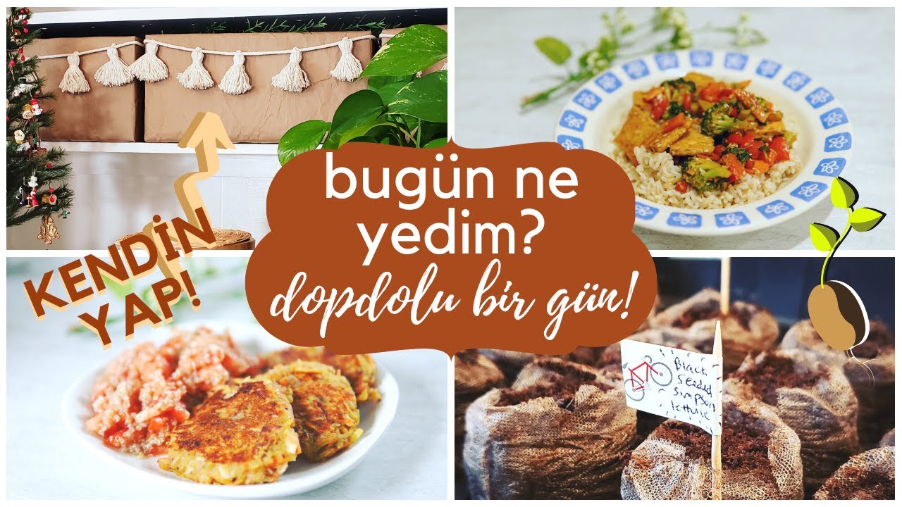 Balkon-Bahçe (Sebze Tohumu Dikimi), Yeni Ev Düzenleme, Kendin Yap, Vegan Yemekler