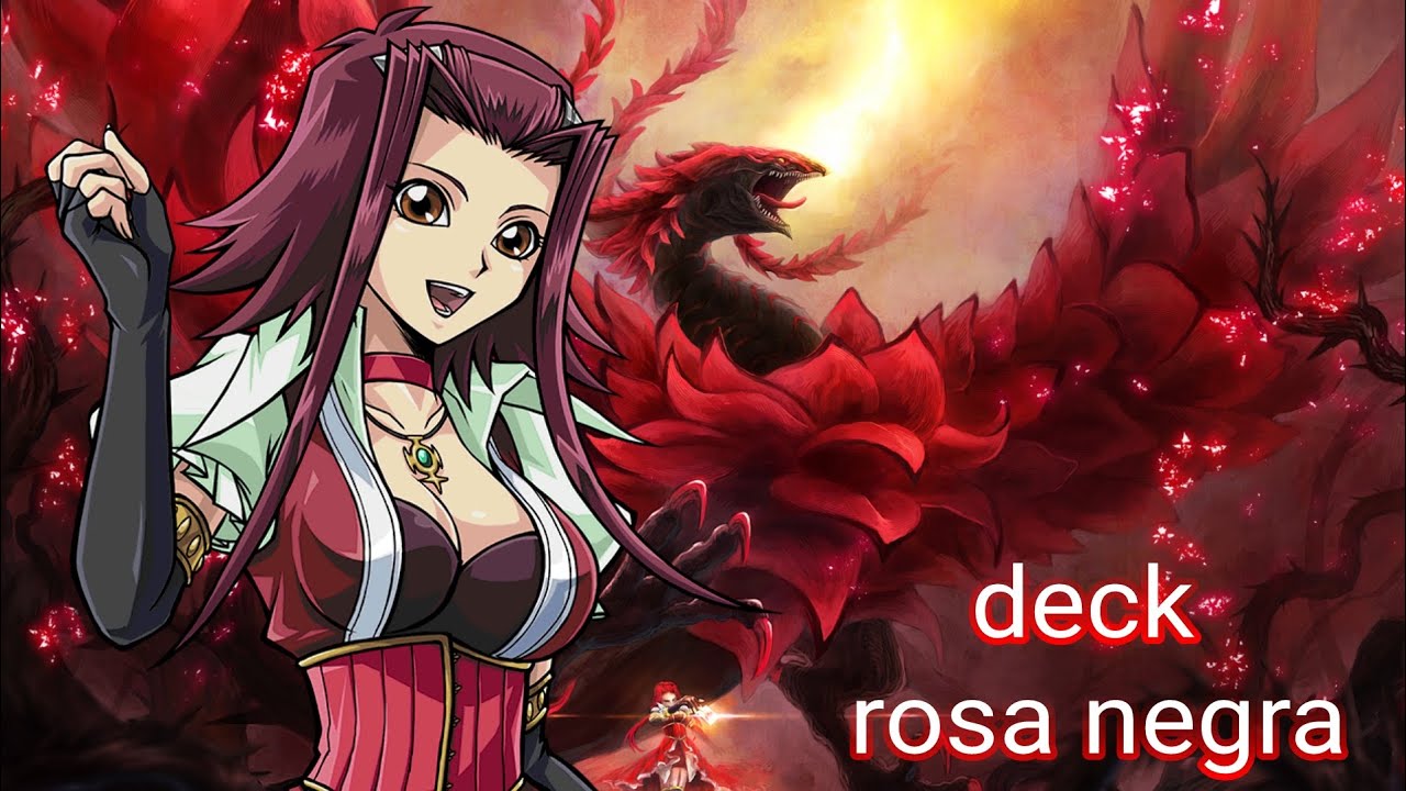rosa negra deck kog (yu gi oh duel links)