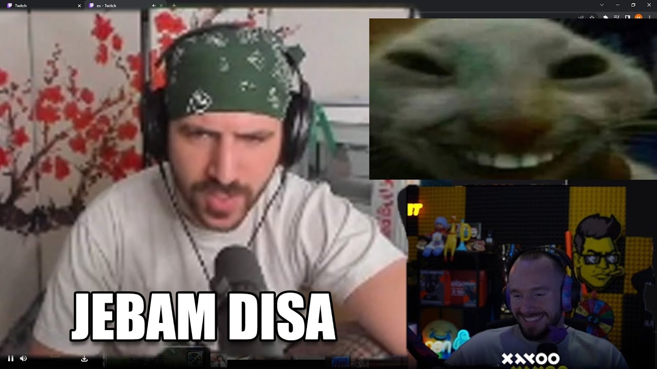 XAYOO REAKCJA NA JD YAMATO