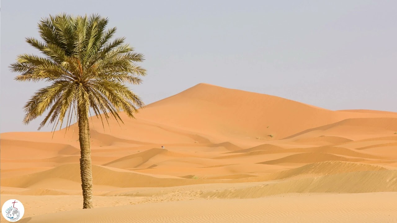 Cat. 2 Gli elementi della preghiera  Parte II 7.12.22