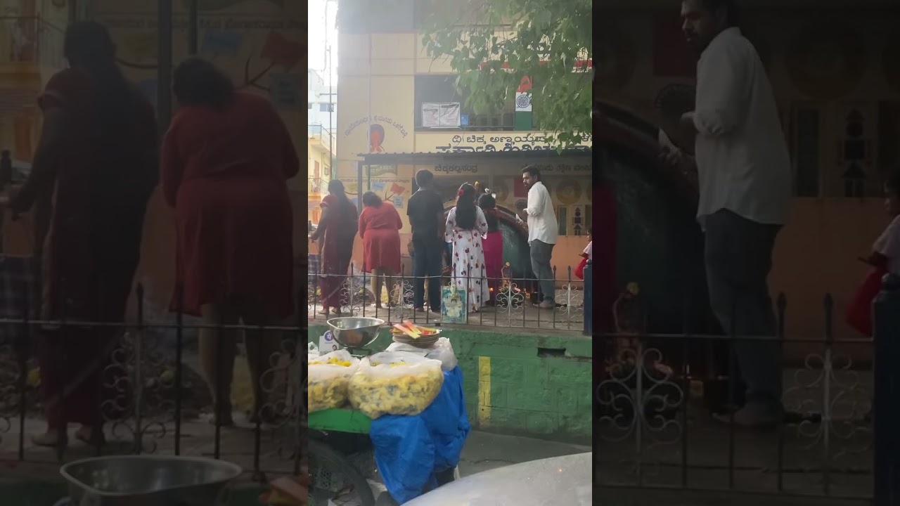 Nagara Panchami Festival  #nagaraj #nagini #nagarpanchami #trending #video #viralvideo #nagapanchami